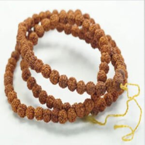 Sacred Rudraksha Collection
